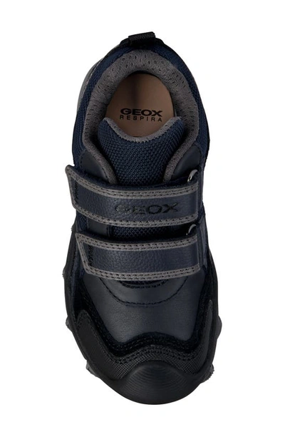 Shop Geox Buller Low Top Sneaker In Navy Grey