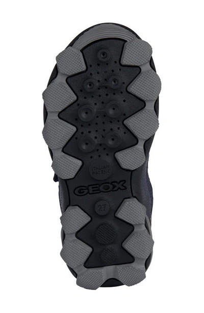Shop Geox Buller Low Top Sneaker In Navy Grey