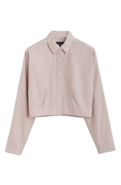 Shop Rag & Bone Morgan Stripe Crop Cotton Shirt In Brown Stripe
