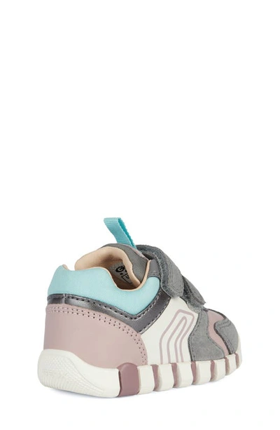 Shop Geox Kids' Iupidoo Sneaker In Grey Old Rose