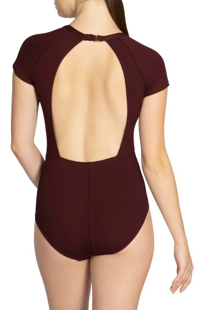 Shop Robin Piccone Amy Plunge Neck Cap Sleeve One-piece Swimsuit In All Spice