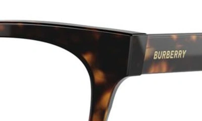 Shop Burberry Evelyn 51mm Cat Eye Optical Glasses In Dk Havana