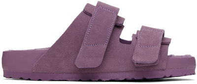 Shop Tekla Purple Birkenstock Edition Uji Sandals In Mauve