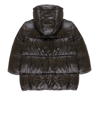 Shop Save The Duck Soni Short Padded Jacket In Brown