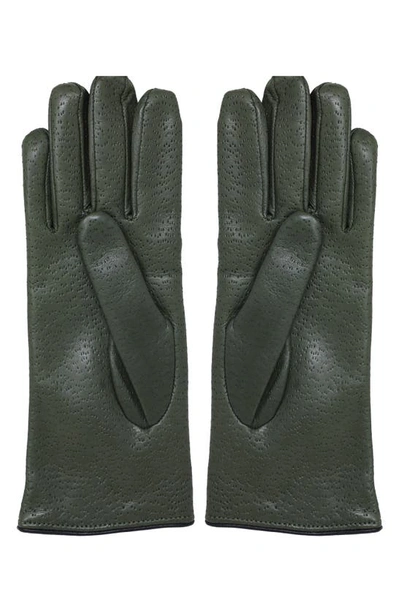 Shop Nicoletta Rosi Cashmere Lined Leather Gloves In Olive Green