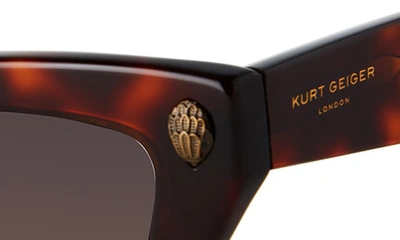 Shop Kurt Geiger 51mm Cat Eye Sunglasses In Havana/ Brown Gradient