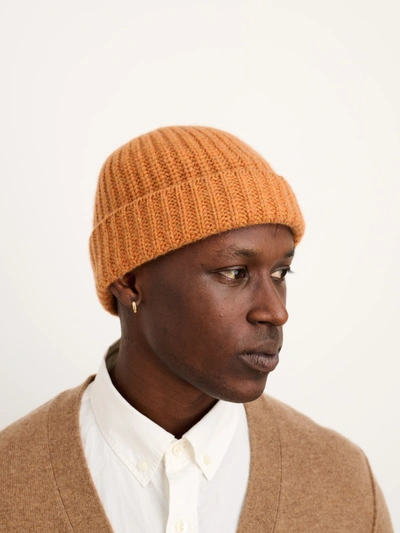 Shop Alex Mill Cashmere Beanie In Cumin