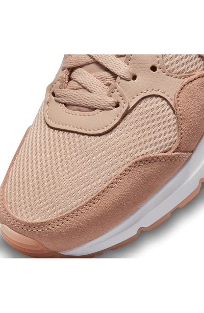 Shop Nike Air Max Sc Sneaker In Fossil Stone/ Pink Oxford