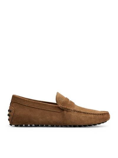 Shop Tod's Gommino Moccasin In Suede In Brown