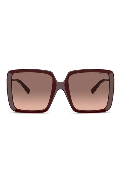 Shop Tiffany & Co 55mm Gradient Square Sunglasses In Burgundy