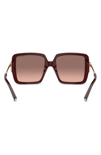 Shop Tiffany & Co 55mm Gradient Square Sunglasses In Burgundy
