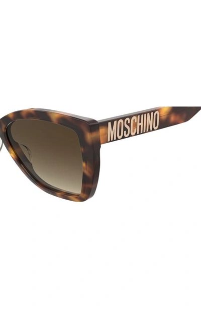 Shop Moschino 55mm Gradient Cat Eye Sunglasses In Havana 2/ Brown Gradient