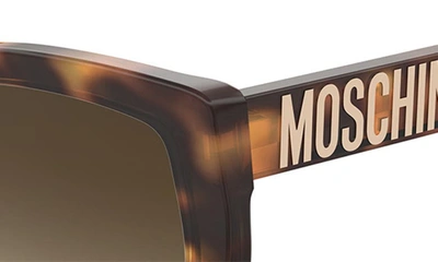 Shop Moschino 55mm Gradient Cat Eye Sunglasses In Havana 2/ Brown Gradient