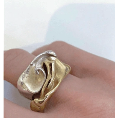 Shop Hannah Bourn Silver Fragmented Shell Ring In Metallic