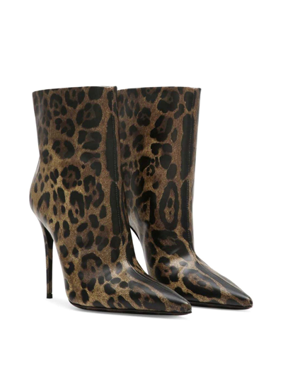 Dolce & Gabbana Women's 105mm Leopard Leather Booties In Brown