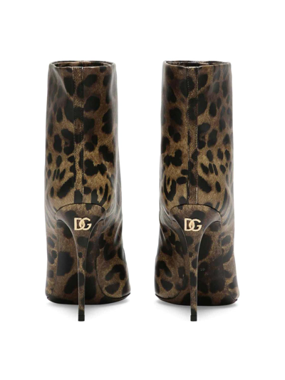 Shop Dolce & Gabbana Leo Boot In Brown