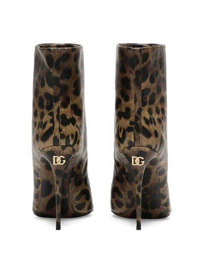 Dolce & Gabbana Women's 105mm Leopard Leather Booties In Brown
