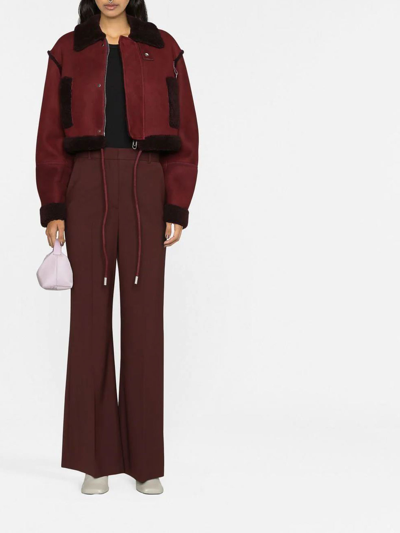 Shop Off-white Cropped Shearling Jacket In Dark Red