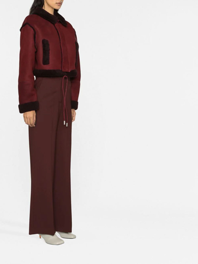 Shop Off-white Cropped Shearling Jacket In Dark Red