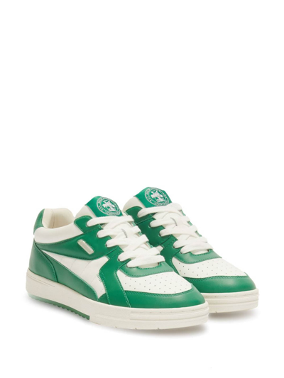 Shop Palm Angels Palm University Sneakers In Green