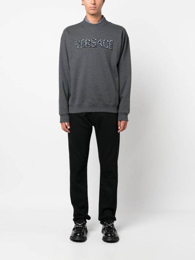 Versace Sweatshirt With Crocodile Logo In Grey