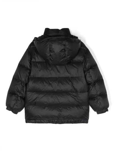 Shop Dolce & Gabbana Black Padded Jacket With Hood For Boys In Negro