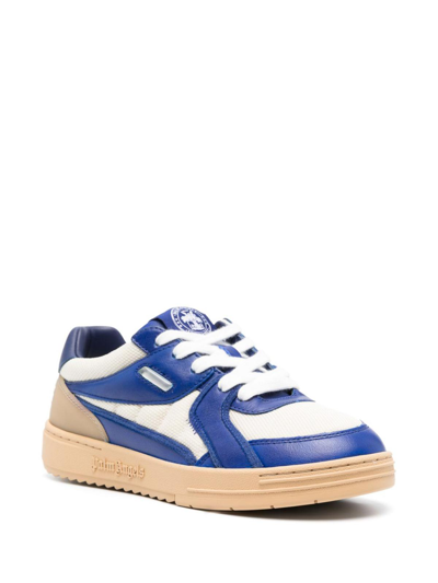 Shop Palm Angels Palm University Leather Sneakers In Blue