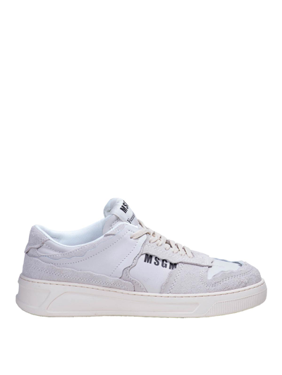 Shop Msgm Fantastic Green Trainer In White