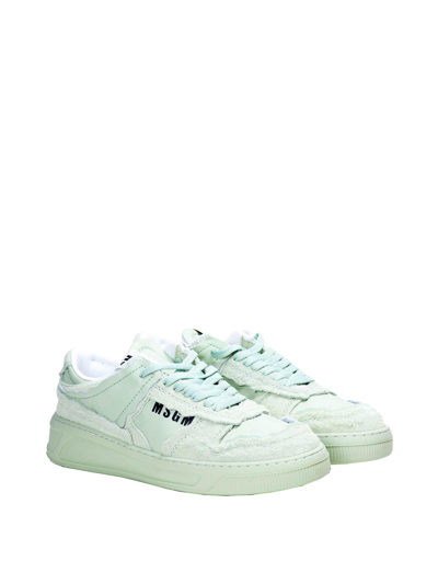 Shop Msgm Fantastic Green Trainer