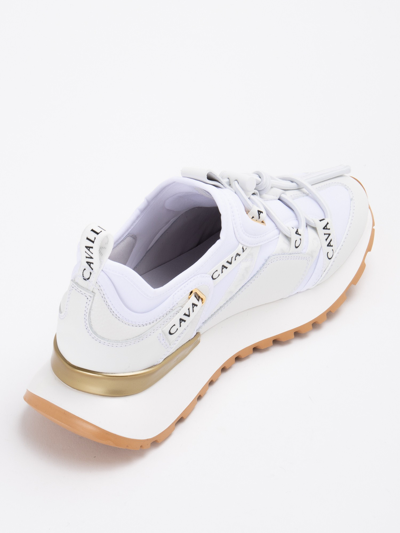 Shop Roberto Cavalli White Leather Blend Sneakers