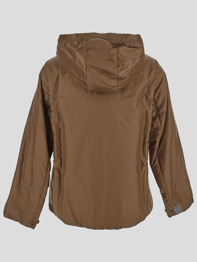 Max Mara The Cube Water-resistant Travel Jacket In Brown