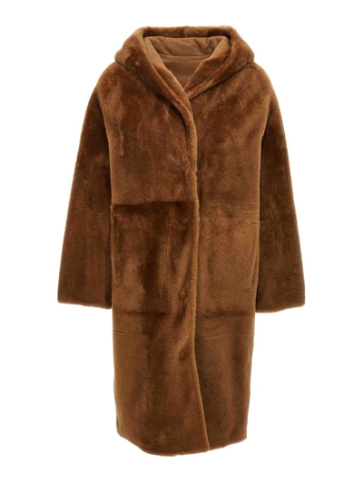 Shop Yves Salomon Manteau Fur Coat In Brown