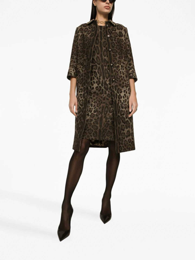 Shop Dolce & Gabbana Leo Print Dress In Brown
