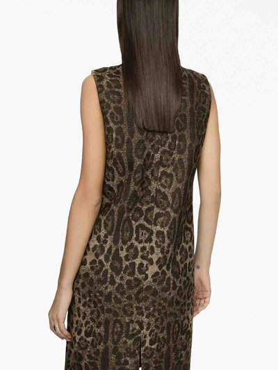 Shop Dolce & Gabbana Leo Print Dress In Brown
