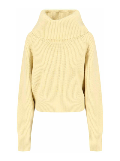 Sa Su Phi Cashmere Blend High-collar Knit Sweater In Yellow