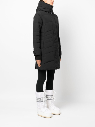 Canada Goose Rossclair Padded Hooded Parka In Negro