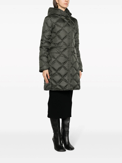 Shop Peuterey Hooded Quilted Coat In Black