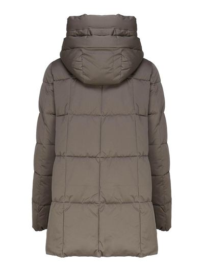 Shop Save The Duck Padded Coat With Hood In Gris