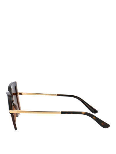 Dolce & Gabbana Havana On Transparent Brown Acetate Sunglasses In Brown
