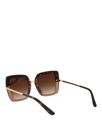 Dolce & Gabbana Havana On Transparent Brown Acetate Sunglasses In Brown