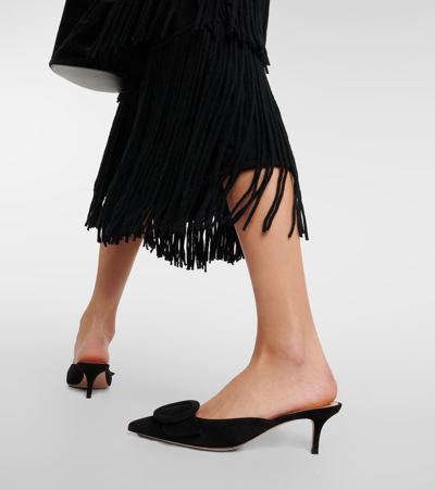 Gianvito Rossi Suede Buckle Point-toe Mules In Black