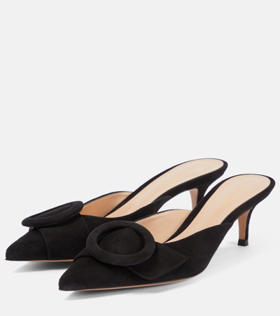 Gianvito Rossi Suede Buckle Point-toe Mules In Black