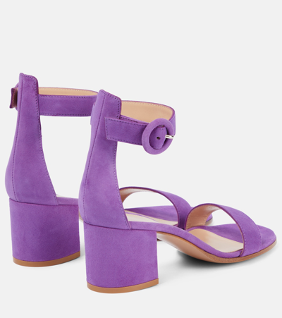 Shop Gianvito Rossi Versilia 60 Suede Sandals In Purple