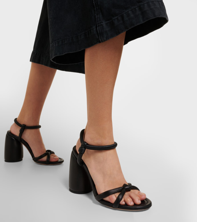 Shop Gianvito Rossi Cassis Leather Sandals In Black