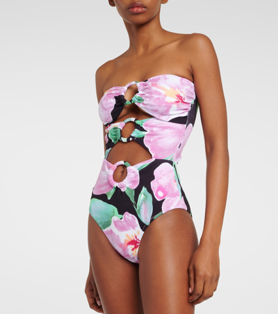 Alexandra Miro Anya Cutout Floral Swimsuit In Multicoloured