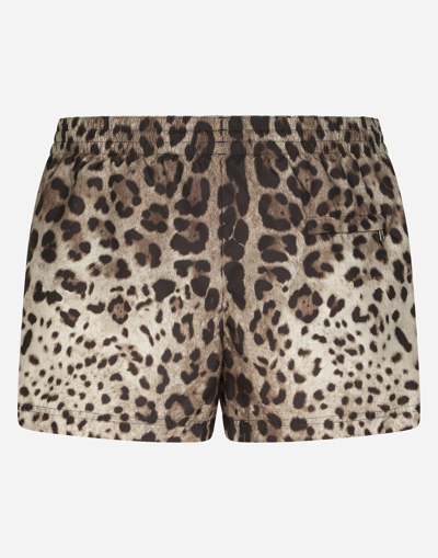 Shop Dolce & Gabbana Short Swim Trunks With Leopard Print In Animal Print