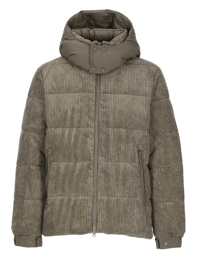Shop Save The Duck Albus Padded Short Jacket In Grey
