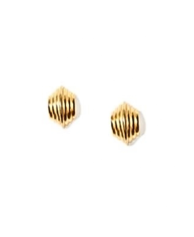 Shop Nectar Nectar New York Solid Seashell Stud Earrings In Gold