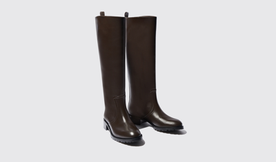 Shop Scarosso Sofia Brown - Woman Boots Brown In Brown - Calf