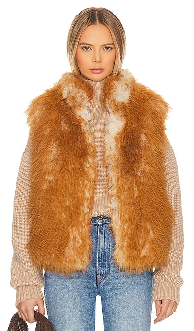 Shop Jocelyn Long Hair Faux Fur Reversible Vest In Gold